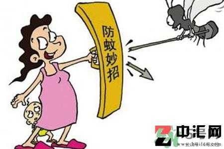 冬天为什么会有蚊子?冬天家里有蚊子怎么办? 冬天为什么会有蚊子?冬天家里有蚊子怎么办?