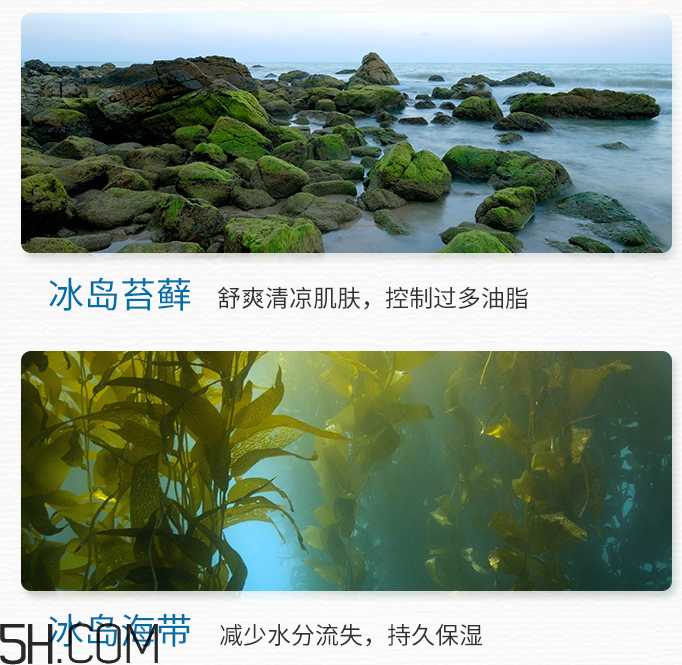 得鲜冰岛补水保湿面霜