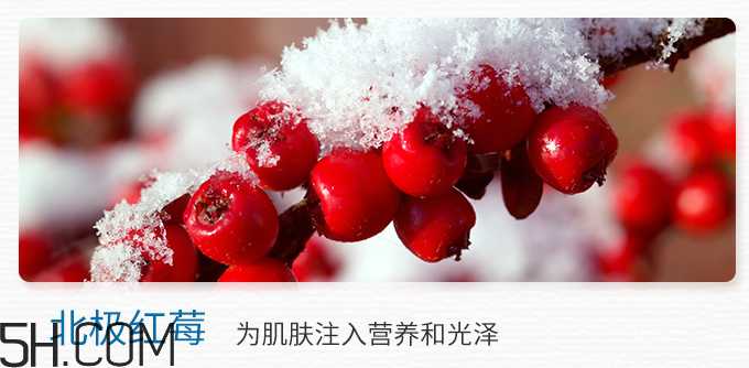 得鲜冰岛补水保湿面霜