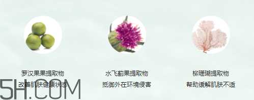 玫琳凯高水份面膜霜