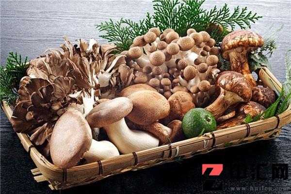 吃什么预防胰腺癌 预防胰腺癌的8种食物