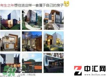有生之年系列是什么意思_出处