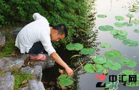 四月份可以钓黄鳝吗？4月份可以钓黄鳝吗？