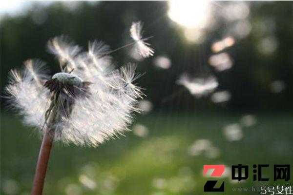 遇到三角恋怎么办 退出三角恋他还联系你